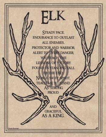Elk Prayer Poster - 8 1/2" x 11"