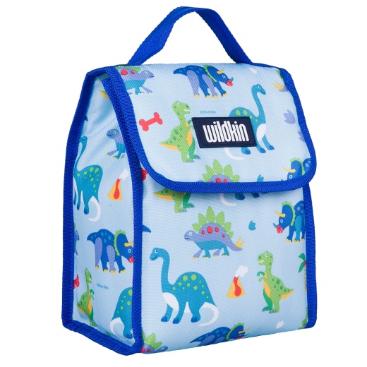 Wildkin Dinosaur Land Reusable Lunch Bag