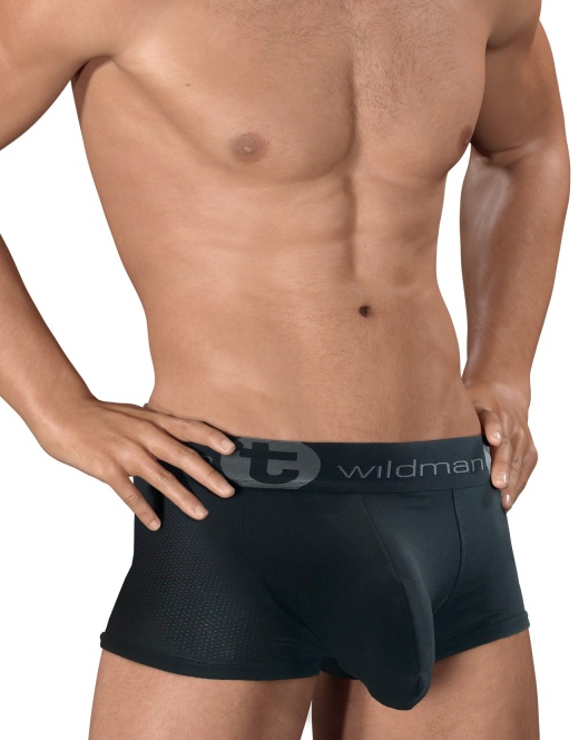 Wildmant Big Boy Mesh Pouch Boxer Brief Black