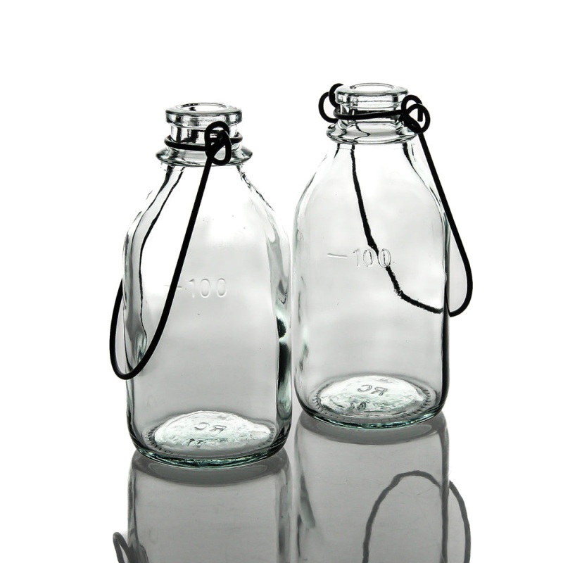 Richland Vintage Bottle Hanging Glass Vase Set Of 12